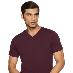Van Heusen Men's Cotton Regular Fit T-Shirt
