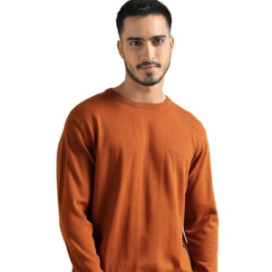 Andamen Men's Orange Cotton Solid Regular Fit Crew Neck